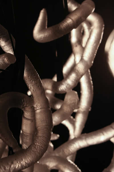 Lombrics - Marie FLAMBARD Lombrics - Marie FLAMBARD